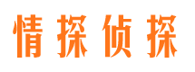 儋州寻人公司